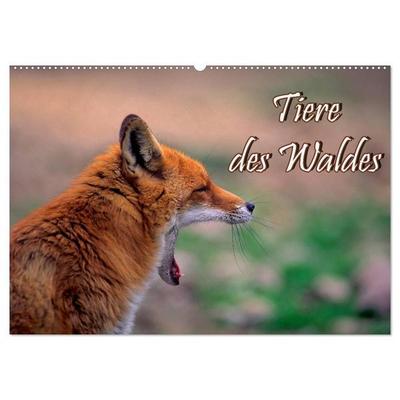 Tiere des Waldes (Wandkalender 2027 DIN A2 quer), CALVENDO Monatskalender