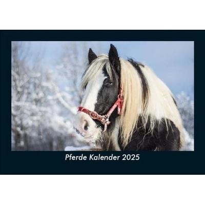 Pferde Kalender 2025 Fotokalender DIN A5