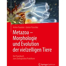 Metazoa - Morphologie und Evolution der vielzelligen Tiere, Fachbücher von Günter Purschke, Achim Paululat