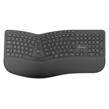 MediaRange ergonomische Multimedia Funk-Tastatur,QWERTZ, sw (DE, Kabellos) (MROS279)