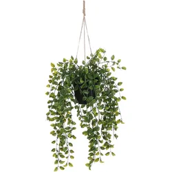 Mica Decorations, Kunstpflanzen, Ficus hängende Kunstpflanze im Topf - H46 x Ø10 cm - Grün (20 cm)