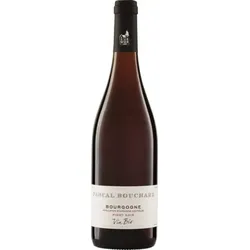 Pinot Noir Bourgogne Pascal Bouchard 2023 BIO