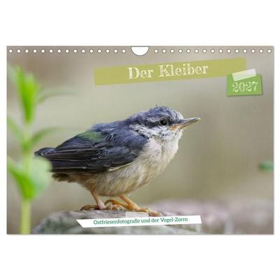 Der Kleiber - Ostfriesenfotografie und der Vogel-Zorro (Wandkalender 2027 DIN A4 quer), CALVENDO Monatskalender