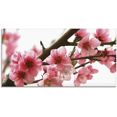 Glasbild ARTLAND "Pfirsichblüten reflektieren im Wasser", pink (farbe bild(er): pink), B:100cm H:50cm, Bilder, in verschiedenen Größen