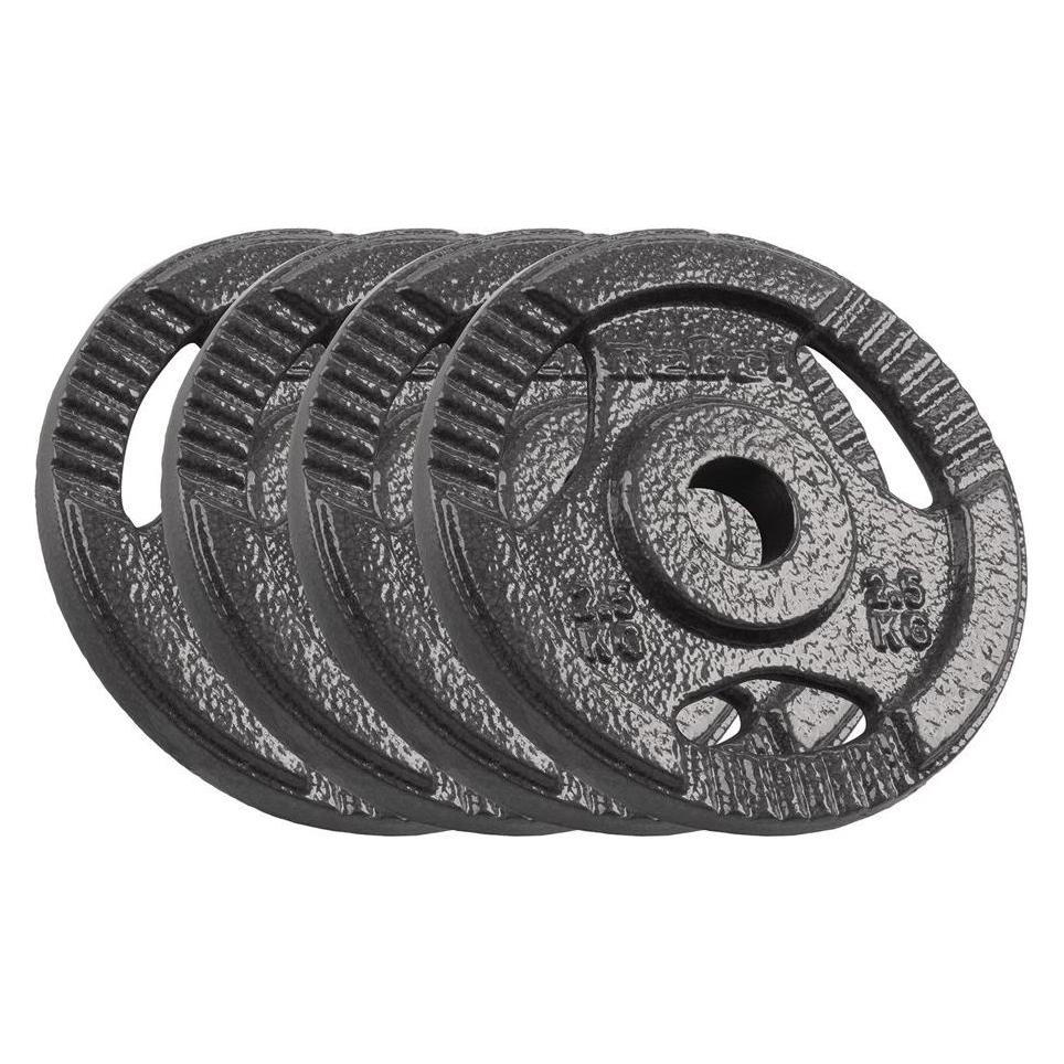 Rebel Gusseisen Hantelset 4x2 5kg Bohrung 31mm Scheibe mit Griffen ACTIVE (1 x 5 kg) (RBA-2133)