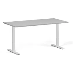 Höhenverstellbarer Schreibtisch, 2 Motoren, 74-121 cm, Tischplatte 160x80 cm, weißes Metallgestell, grau