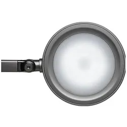 Maul, Tischlampe, Maulgrace (300 lm)