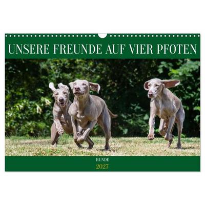 Unsere Freunde auf vier Pfoten - Hunde (Wandkalender 2027 DIN A3 quer), CALVENDO Monatskalender