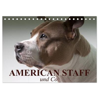American Staff und Co. (Tischkalender 2027 DIN A5 quer), CALVENDO Monatskalender