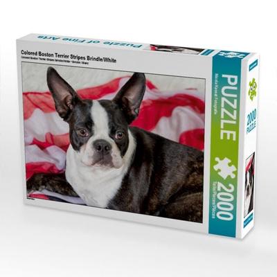 Colored Boston Terrier Stripes Brindle/White (Puzzle)