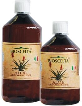NATUR-FARMA Srl ALOE ARB.Succo 500ml N-F