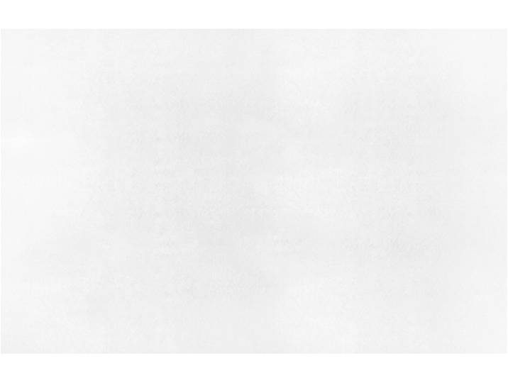 Antirutsch-Teppich PAN 180x280cm