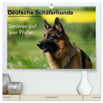 Deutsche Schäferhunde - Senioren auf vier Pfoten (hochwertiger Premium Wandkalender 2026 DIN A2 quer), Kunstdruck in Hochglanz