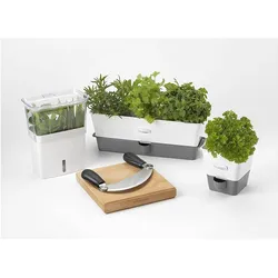 Cole & Mason Schnittkräuter Box, Vorratsbehälter, Weiss