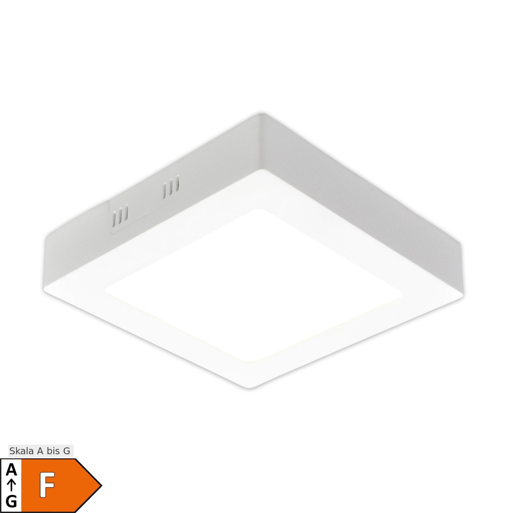 Näve LED Aufbaupanel dimmbar "DIMPLEX" s:30cm