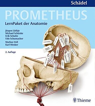 Jürgen Lüthje - PROMETHEUS LernPaket Anatomie Schädel - Preis vom 04.10.2026 03:51:26 h
