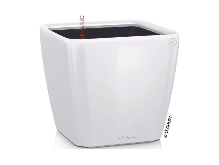 Lechuza Quadro Premium 35Ls Weiss