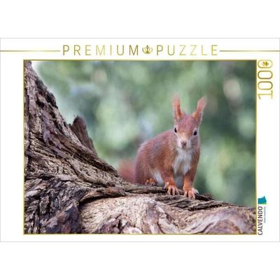 CALVENDO Puzzle Ich bin hier der Boss! | 1000 Teile Lege-Größe 64x48cm Foto-Puzzle für glückliche Stunden, Sonstige von , Calvendo Puzzle