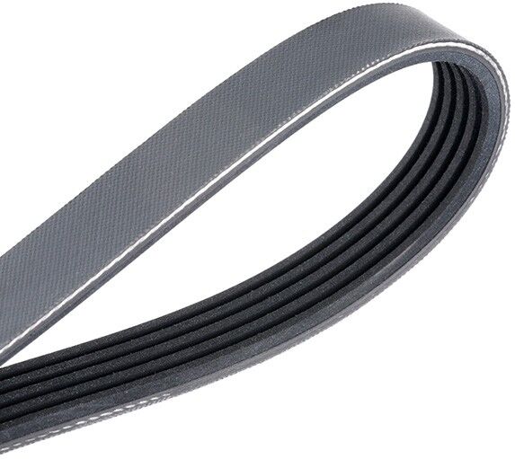 MEYLE 050 005 0890 Serpentine belt