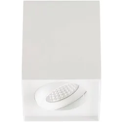EVN, Deckenleuchte, LED-Anbauleuchte (900 lm)