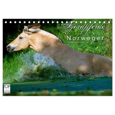 Fjordpferde - Norweger (Tischkalender 2026 DIN A5 quer), CALVENDO Monatskalender