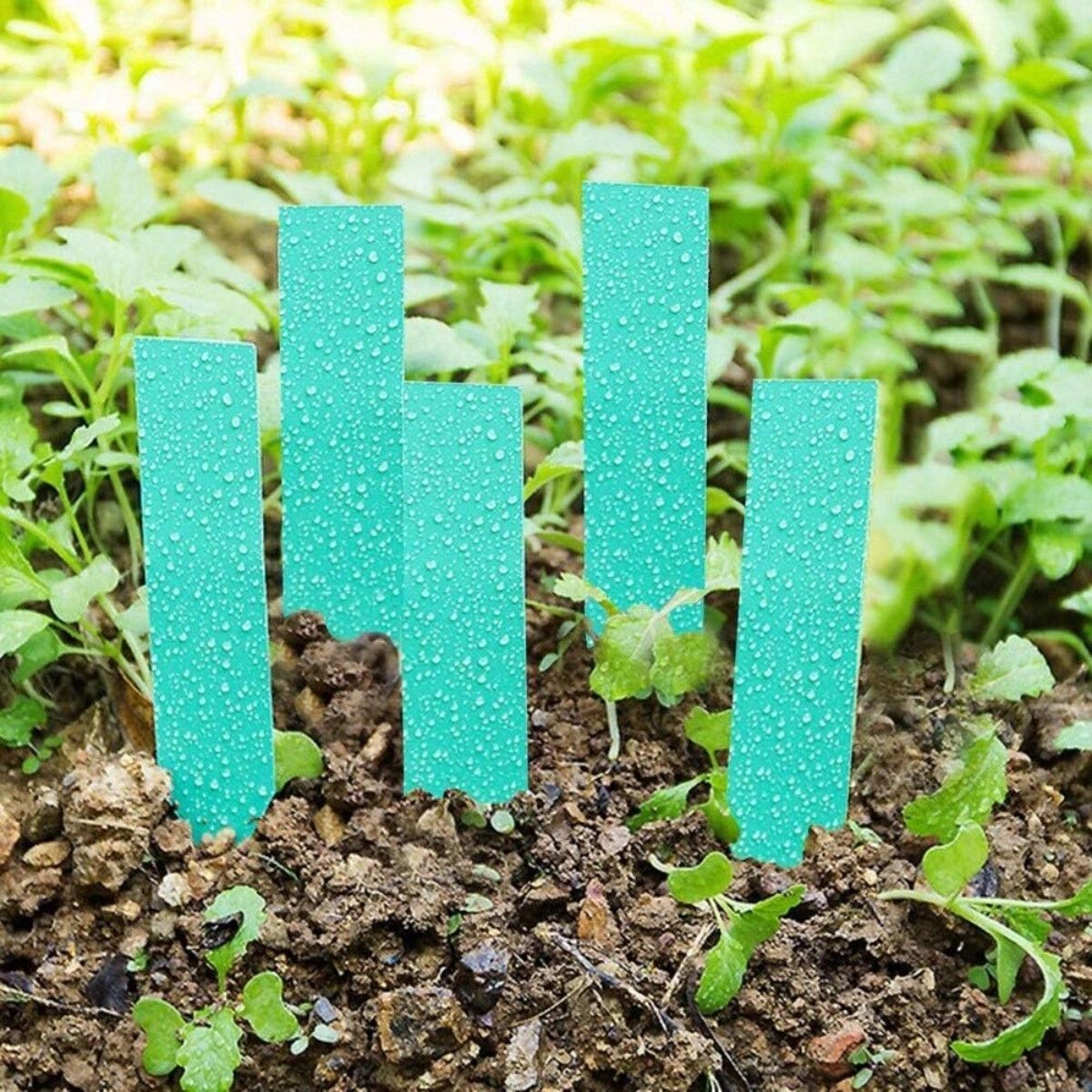 INF Pflanzenschilder 10cm x 2cm PVC – 100 gerade wasserdichte Pflanzenetiketten, Entengrün