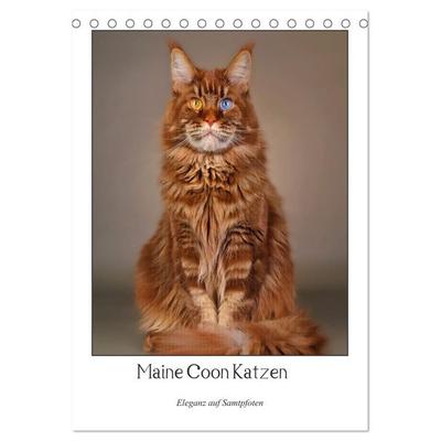 Maine Coon Katzen. Eleganz auf Samtpfoten (Tischkalender 2027 DIN A5 hoch), CALVENDO Monatskalender