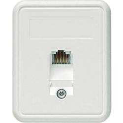 Telegärtner Netzwerkdose Aufputz CAT 5e 1 Port Alpinweiß 100022998
