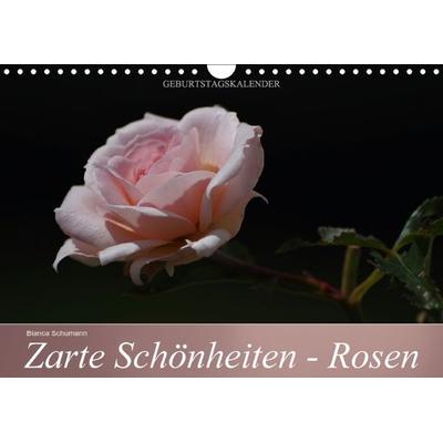 Zarte Schönheiten - Rosen (Wandkalender immerwährend DIN A4 quer)