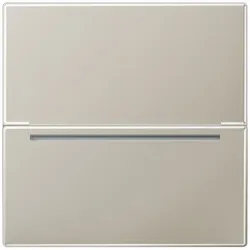 Jung ESCARDRFID Hotelcard-Schalter RFID, Thermoplast lackiert, Serie LS, Edelstahl ES CARD RFID