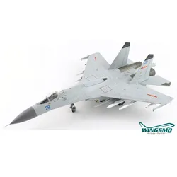 Hobby Master Sukhoi SU-27 Flanker HA6024