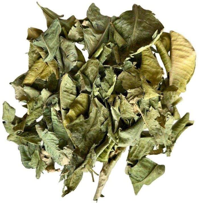 France Herboristerie Tisane Oranger Bigarade feuille 100 GRS Citrus aurantium var amara