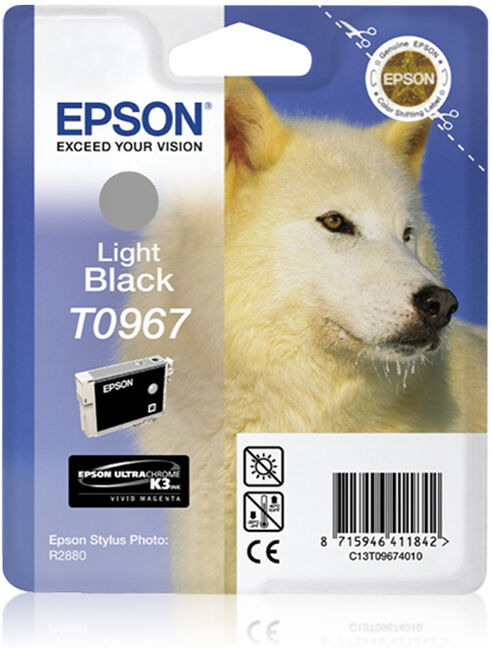 TINTEIRO EPSON R2880 CINZENTO