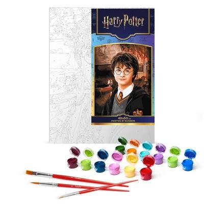 Harry Potter: Gryffindor-Gemeinschaftsraum 40x50 cm