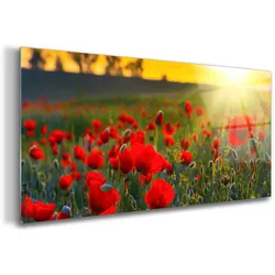 GLASBILD 140x70 cm Sonnenuntergangsfeld