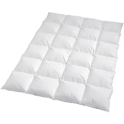 Traumschlaf, Duvet, Himalaya (1300 g, Daune, 200 x 220 cm)