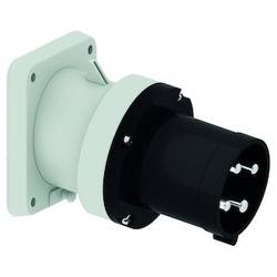Bals Elektrotechnik 2776 2776 CEE Anbaustecker 63.0 A 4polig 500 V 1 St.