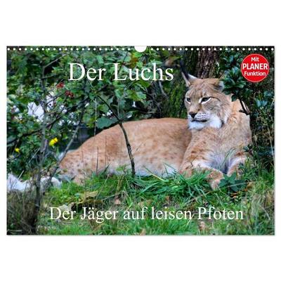 Der Luchs - Der Jäger auf leisen Pfoten (Wandkalender 2027 DIN A3 quer), CALVENDO Monatskalender