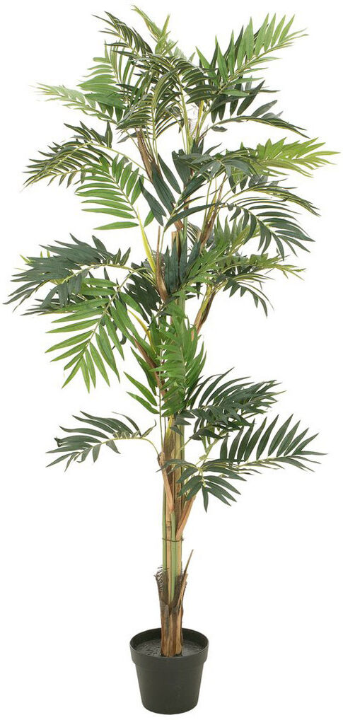 Europalms Parlour Palme, Kunstpflanze, 150cm