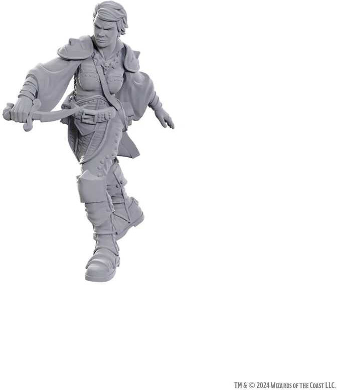 D;D Nolzur's Marvelous Unpainted Miniatures: Swashbuckler for Tabletop Adventures, Ages 14+, by Wiz Kids LLC