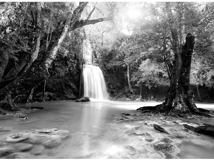 Papermoon Wasserfall im Wald Schwarz & Weiss