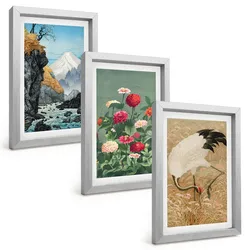BILDER SET 3er Set - 20x30 cm Silberner Rahmen - Berglandschaft, Fluss, Blumen, Kraniche