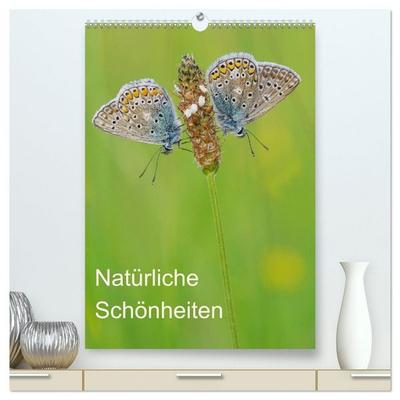 Insekten,Schönheiten der Natur (hochwertiger Premium Wandkalender 2026 DIN A2 hoch), Kunstdruck in Hochglanz