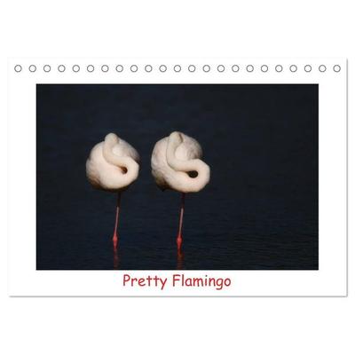 Pretty Flamingo (Tischkalender 2027 DIN A5 quer), CALVENDO Monatskalender