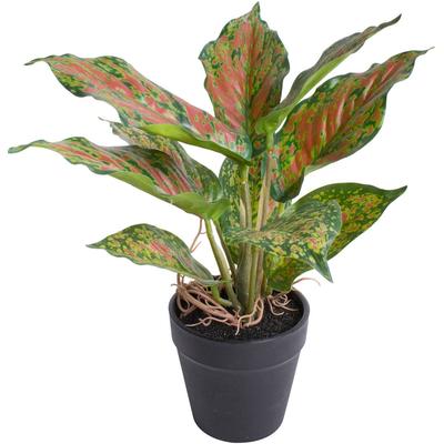 Künstliche Zimmerpflanze BOTANIC-HAUS "Caladium", bunt (grün, hellgrün, rotbraun), B:24cm H:25cm T:24cm Ø:24cm, Kunststoff, Kunstpflanzen, Künstliche Zimmerpflanze