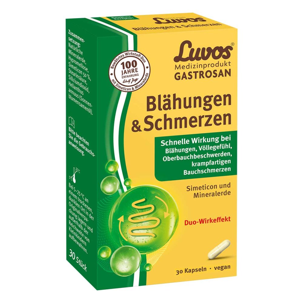 Heilerde-Gesellschaft Luvos Just GmbH & Co. KG Luvos® Gastrosan Blähungen & Schmerzen Kapseln 19815940