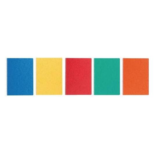 Format Notizheft A4, 4 mm kariert, mit Spiralbindung, 48 Blatt, assortiert (A4, Kariert) (608835040)
