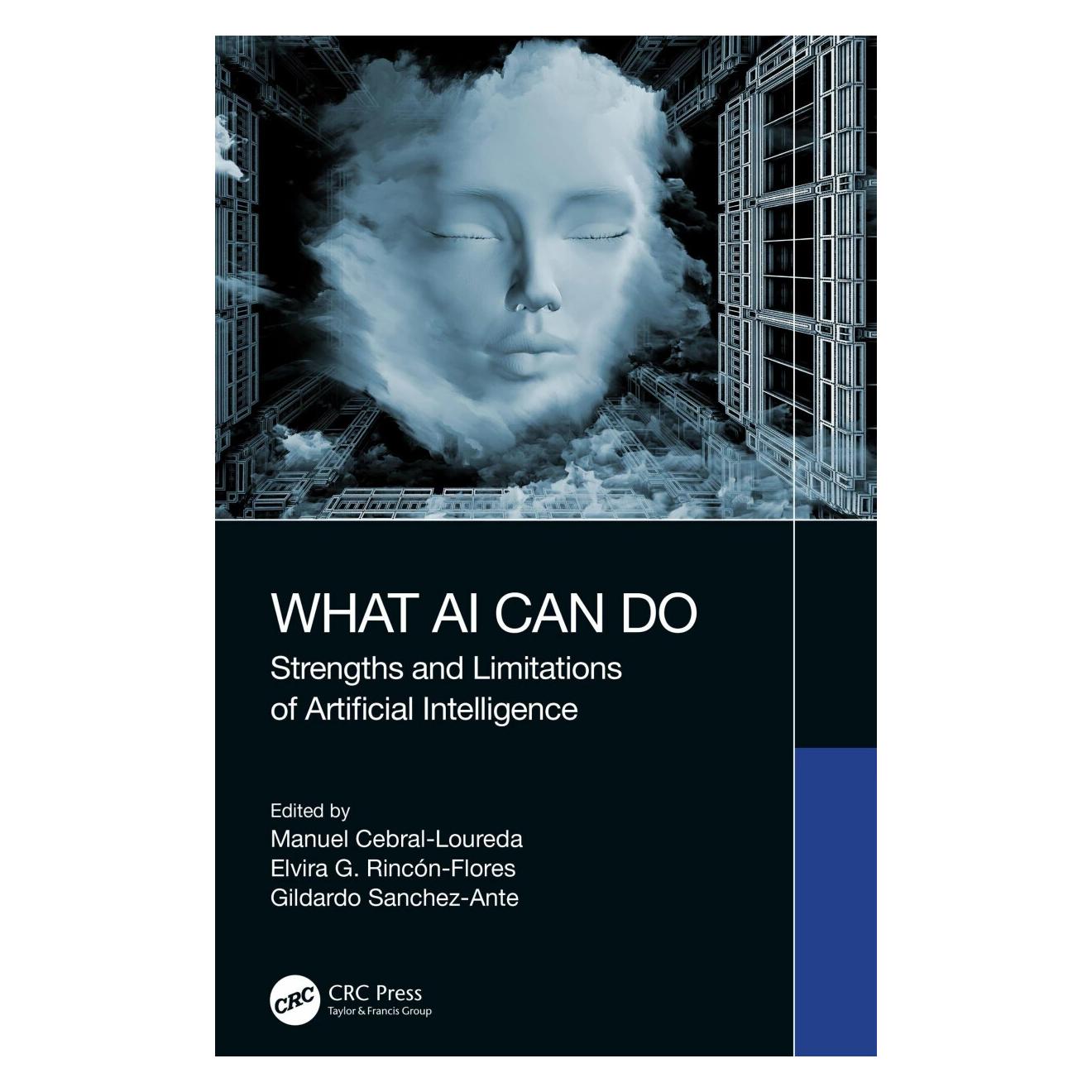 Taylor & Francis What AI Can Do (Englisch) (41996353)