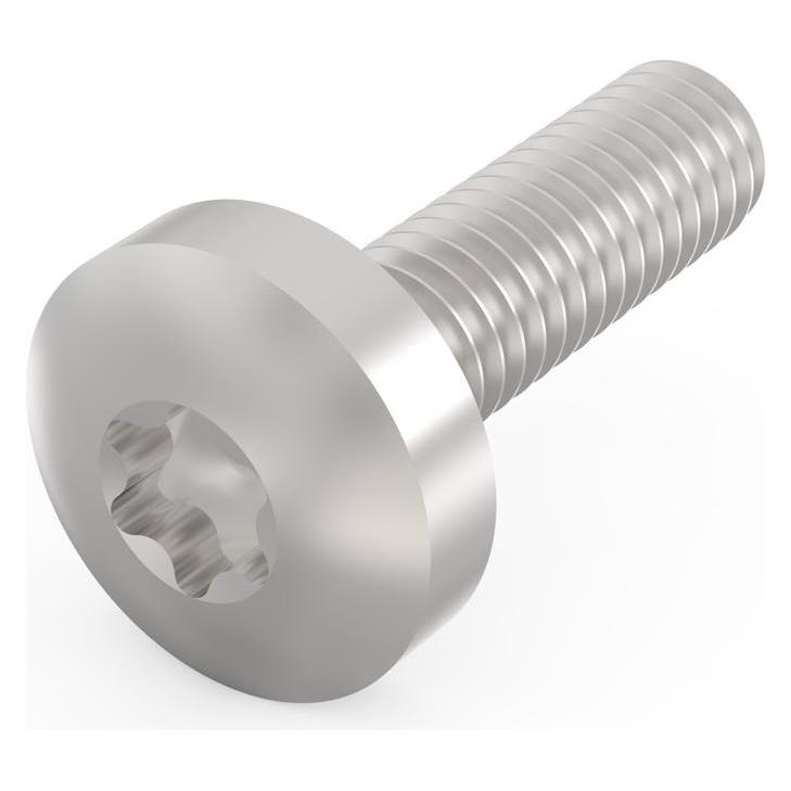 Schroff Torx-Linsenkopfschraube - NTS TORXSCHR M4X14 (10STK) (24560131)