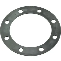 Bosch Flanschdichtung 54910858 180 mm
